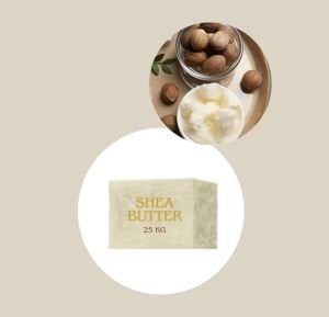 Shea Yağı - Shea Butter (Fildişi rafine) 25 Kg